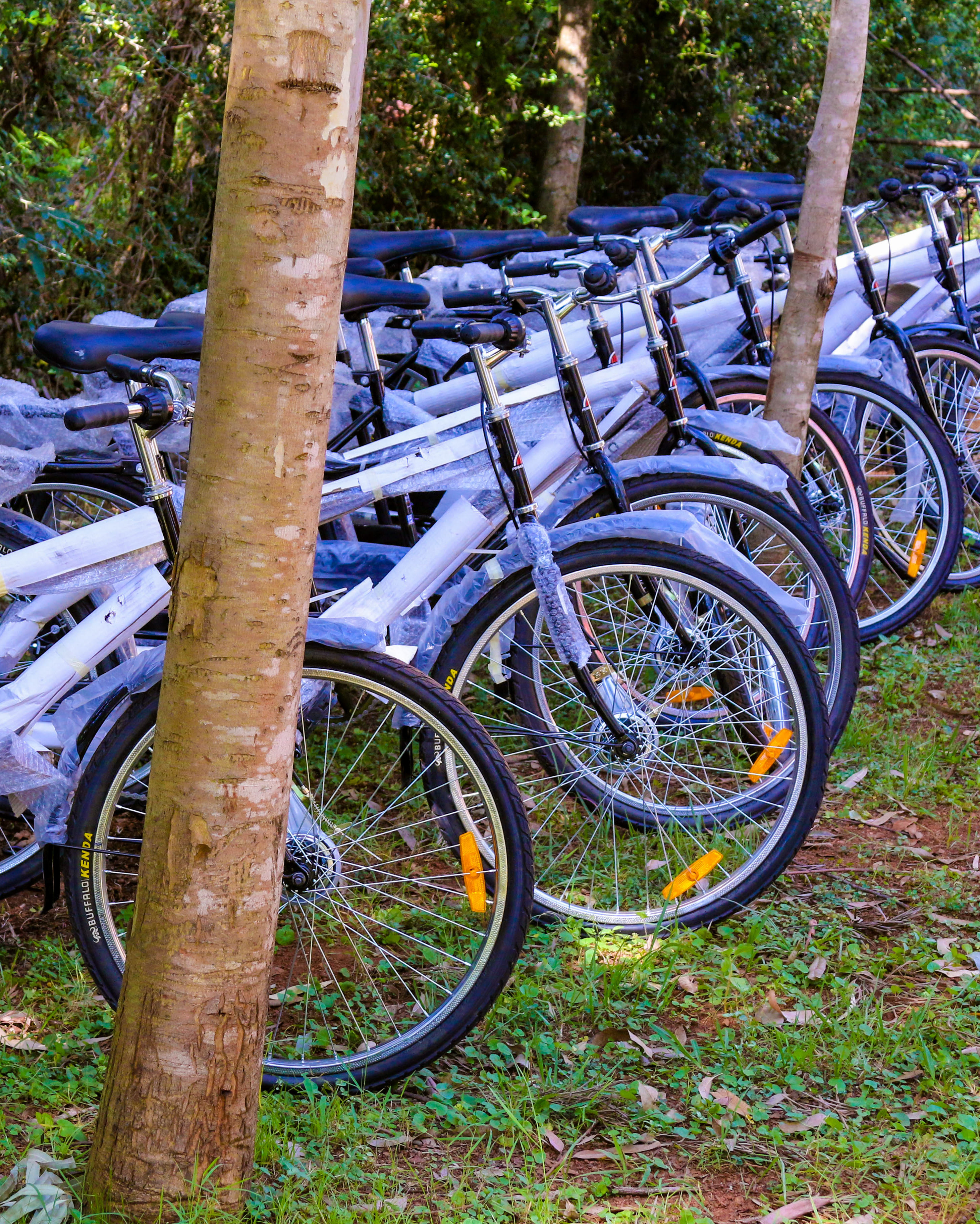 Bicycles for Business
