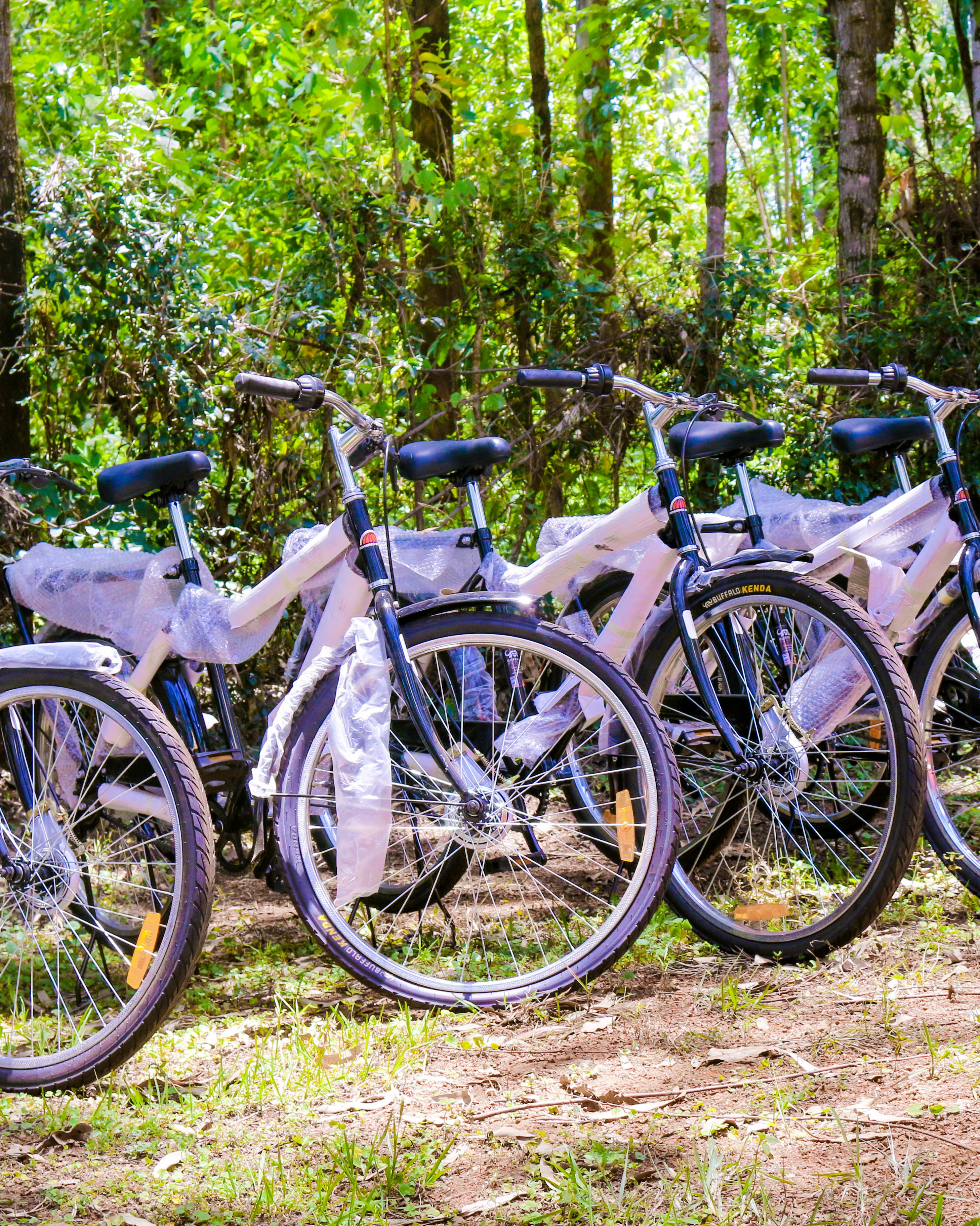 Bicycles for Business